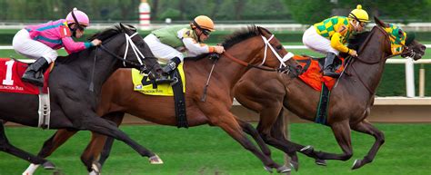 horse racing wallpaper|free pictures of race horses.